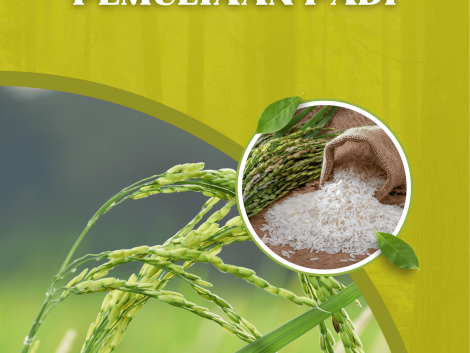 TEKNOLOGI PEMUALIAAN PADI copy